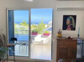 Appt Blue lagoon vue mer à La Saline les bains