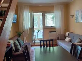 Appartamento vacanze in montagna