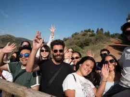 Black Swan Hostel Granada