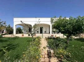 Dimora Caselli by Meravigliosa Puglia Real Estate