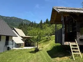 Apartma Klemenc
