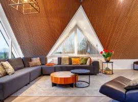 12P 6B Villa Bij Klaas Near Forest Lake