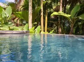 A Peace In Paradise