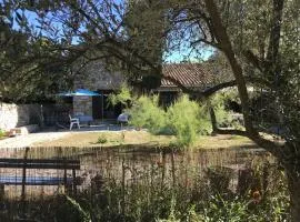 Chambre sous les cyprès