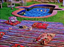 Shasha Ecolodge