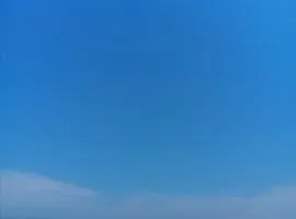 Seasight