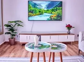 Modern and Luxurious 2 Bedroom