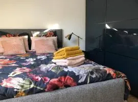 appartement cosy