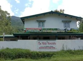 Misty mountain guest