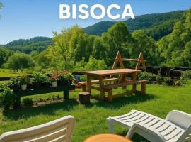 Pensiunea Poiana Marului - Bisoca, hotel in Bisoca
