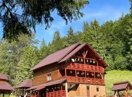 Cabana Sânziana