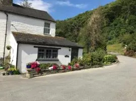 Ty Ffarm, Gogarth