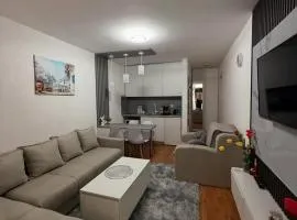 Vaso apartman Bečići