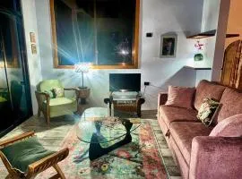 Jungle Glory Homes' La Joya