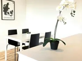 Spacious Apartment for 6