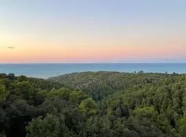 Agriturismo Millepini