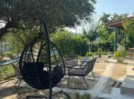Basil & Guest House