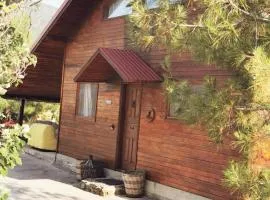 The Mouflon House Pedoulas