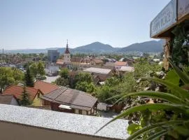 Mountain and City View with Underground Parking