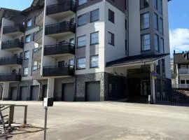 Chalet Ylläs 8101