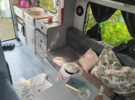 VAN living, stationary only wild camping style living