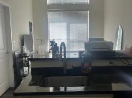 Luxury Apartment UConn