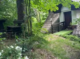 Studio Gościnne ANTEK