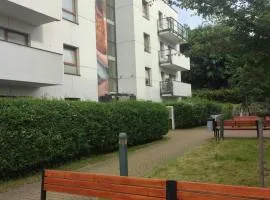 2 rooms near the main city