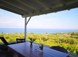 The Iconpainter Zaga Villa