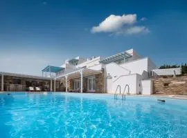 Villa Marble Tinos