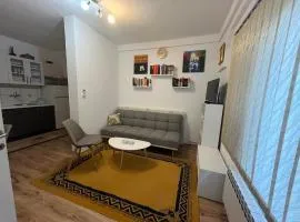 Apartman Serdjo