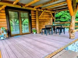 Dom z Bala nad Cieminem