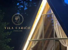 Vila Caričić Žabljak