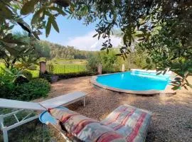 Le Figuier appart 2-3 pers en plein vignoble avec piscine privée à 30mn des gorgesdu Verdon et des plages