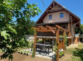 Apartment in Zamardi - Balaton 53839
