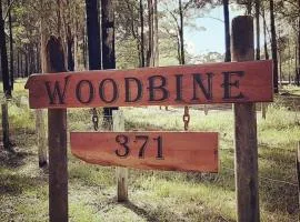 Woodbine Studio Cabin Retreat