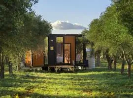 Olive Grove Retreat 3 by Tiny Away