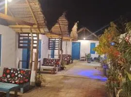 Arugam Nest