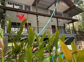 Natural Homestay, Sulthan Bathery