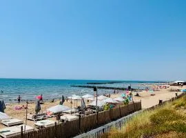 LE 209, 3min à pieds de la Plage, tout confort, Terrasse, 2 Parking privée