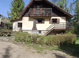 Na samotě u lesa