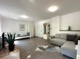 Ferien- und Monteurswohnungen Goitzscheluft, Goitzschekoje und Goitzschezauber