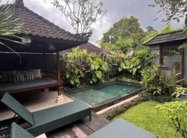 Badra House Bougainvillea