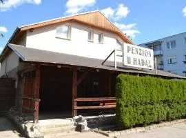 Penzion u Hada