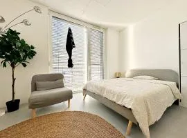 Studio 12