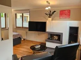 Studio Parterre Kamin