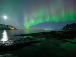Northern Light Hotell/Camp Steinfjord