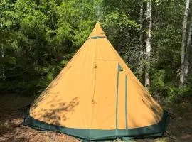 Natur pur im Tipi -Dein Rückzugsort in Schwedens Wildnis