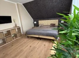 Appartement 1 - Zweizimmerwohnung mit Küche und Bad