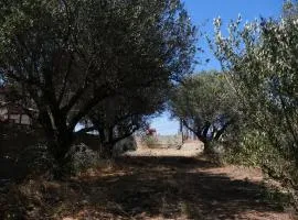 Rustic Tent Hideaway in a Secluded Olive Grove right next to the Gouves Beach